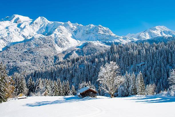 Happy Moose - Cosy Mont Blanc View Apartment Chamonix Mont Blanc Exterior foto
