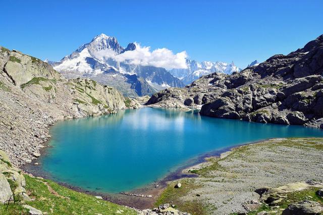 Happy Moose - Cosy Mont Blanc View Apartment Chamonix Mont Blanc Exterior foto