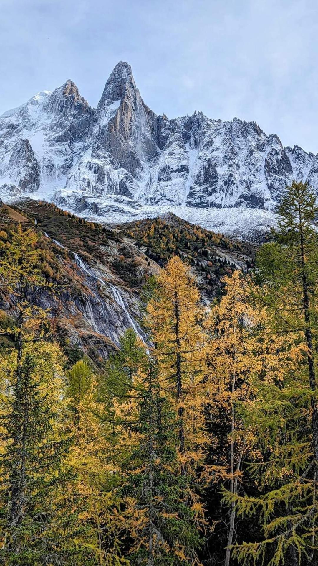 Happy Moose - Cosy Mont Blanc View Apartment Chamonix Mont Blanc Exterior foto