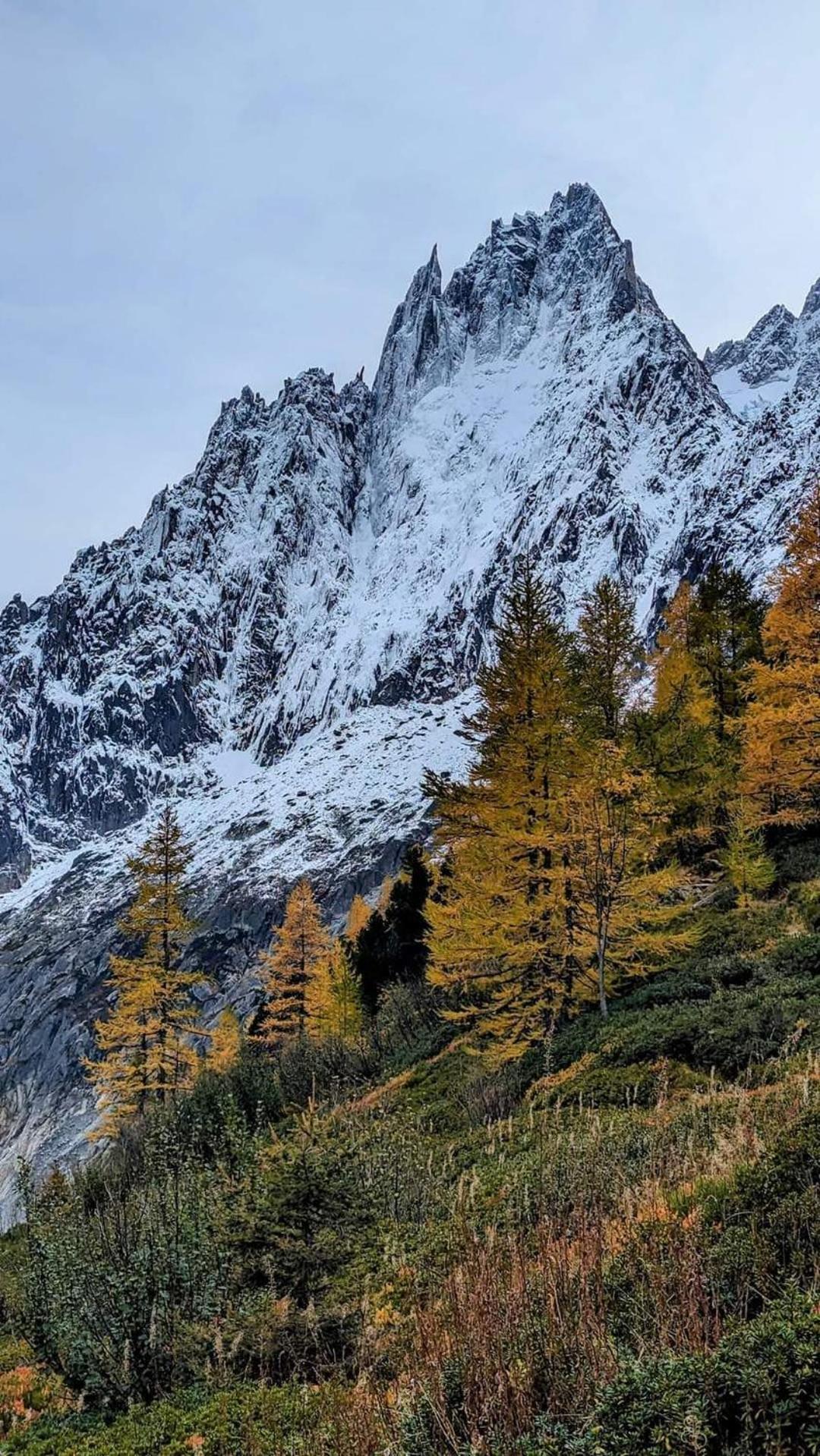 Happy Moose - Cosy Mont Blanc View Apartment Chamonix Mont Blanc Exterior foto
